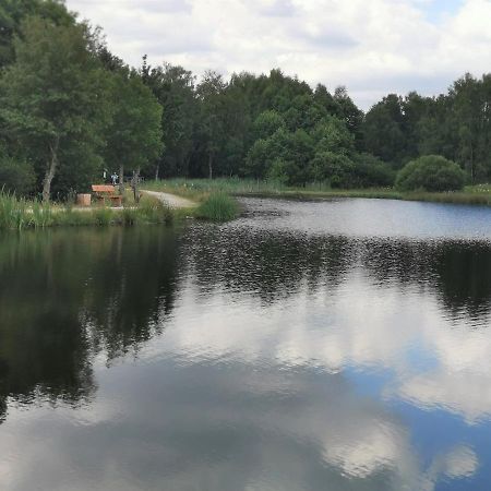 Ferienhaus Clarissa Allenbach Kültér fotó
